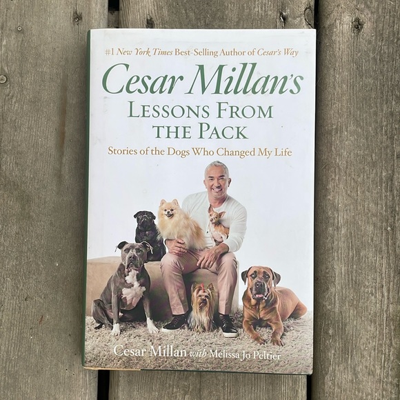 Dog Cesar Millans Lessons From The Pack Stories Of The Dogs Who
